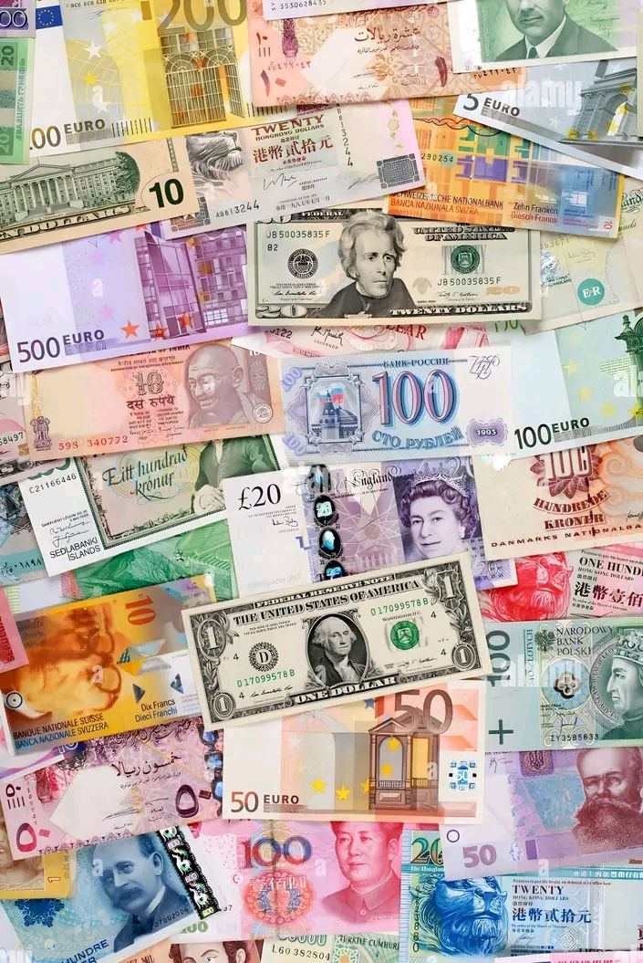 Project Documentation & Bankability